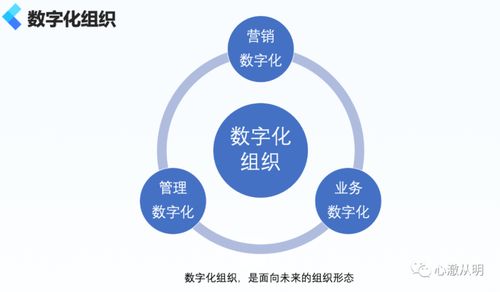 企業(yè)數(shù)字化組織的一些思考