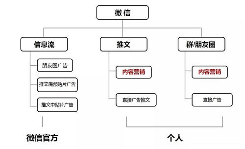 冷蕓時尚圈日報 第270期 教育與行業趨勢的深度思考