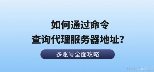 如何通過(guò)命令查詢代理服務(wù)器地址 以票務(wù)代理服務(wù)為例