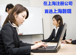 上海磐琨企業管理咨詢 專業商務信息咨詢的領航者
